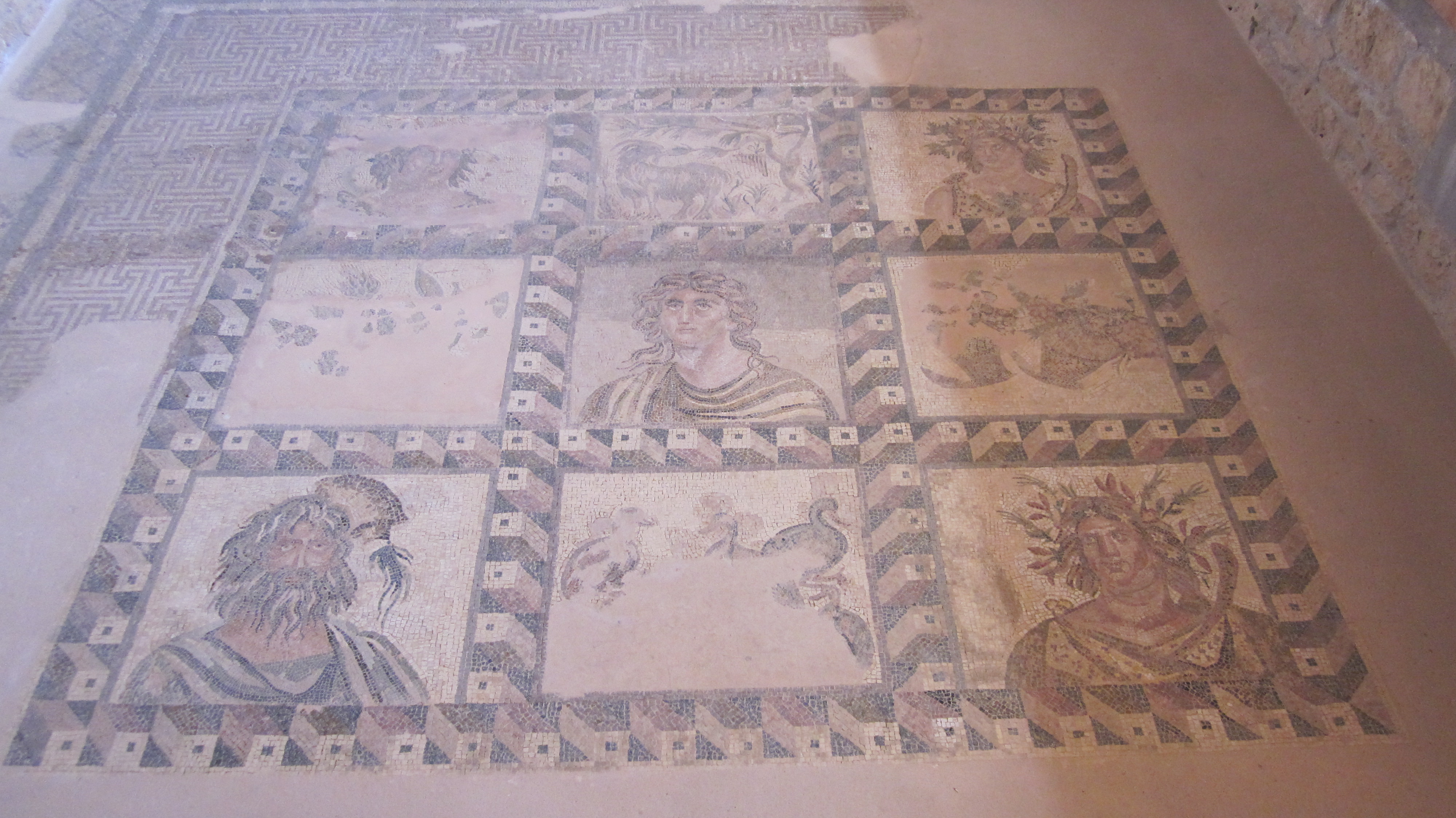 Mosaicos Paphos orignales